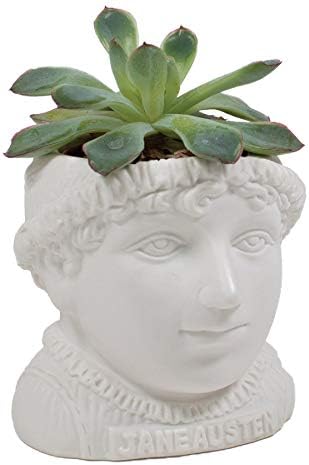 İşsiz Filozoflar Birliği Jane Austen Bust Etli Ekici-Küçük Kaktüsler, Çiçekler, Otlar ve Daha Fazlası için Bitki Tutucu Saksı